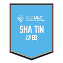 team logo